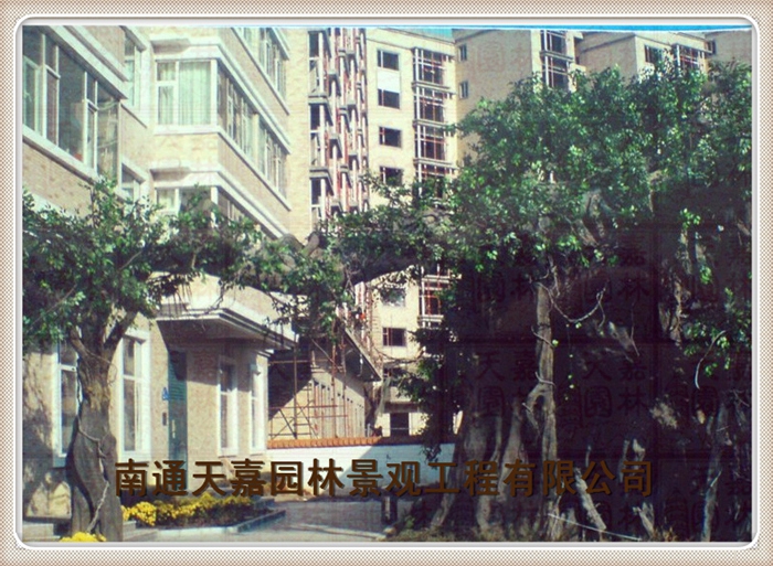 天嘉園林（假樹）