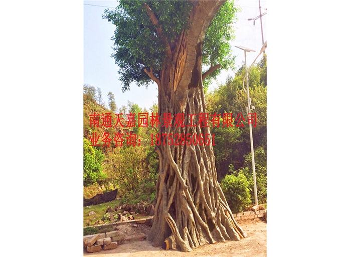 天嘉園林（假樹）