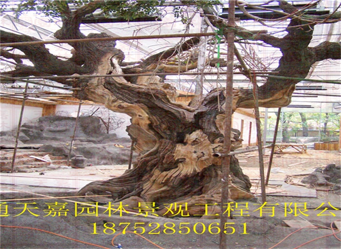 生態(tài)園仿真包裝