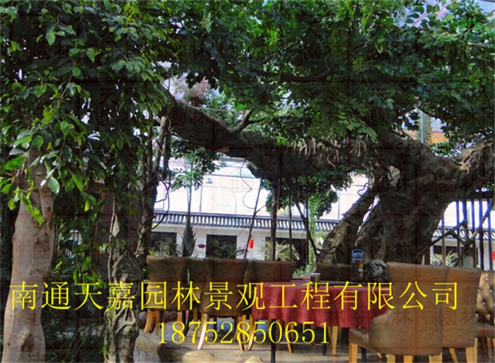 生態(tài)園仿真包裝